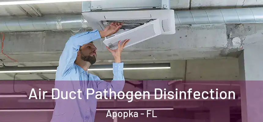  Air Duct Pathogen Disinfection Apopka - FL