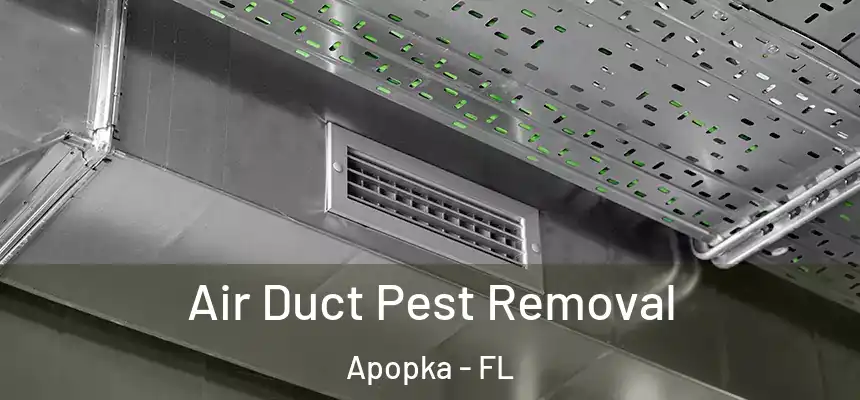 Air Duct Pest Removal Apopka - FL