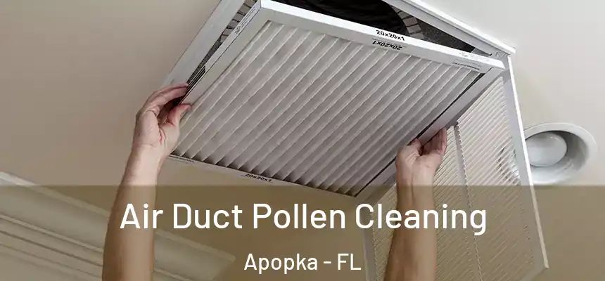 Air Duct Pollen Cleaning Apopka - FL