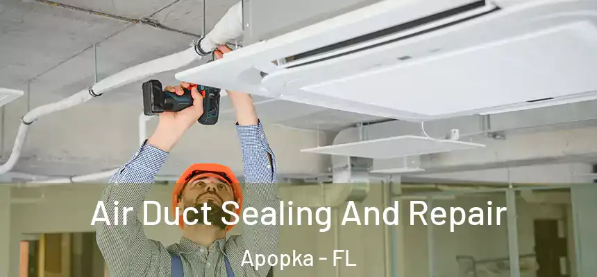  Air Duct Sealing And Repair Apopka - FL