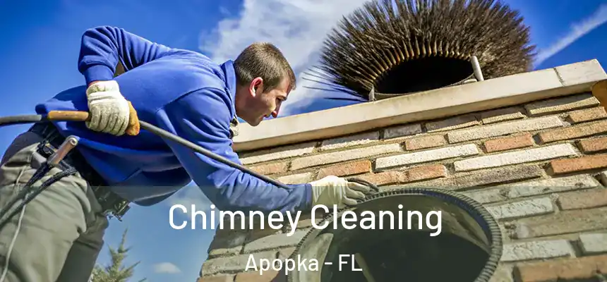 Chimney Cleaning Apopka - FL