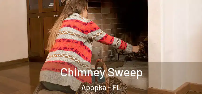 Chimney Sweep Apopka - FL