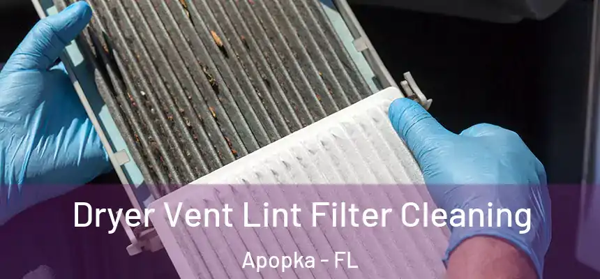  Dryer Vent Lint Filter Cleaning Apopka - FL