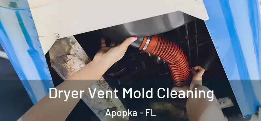 Dryer Vent Mold Cleaning Apopka - FL