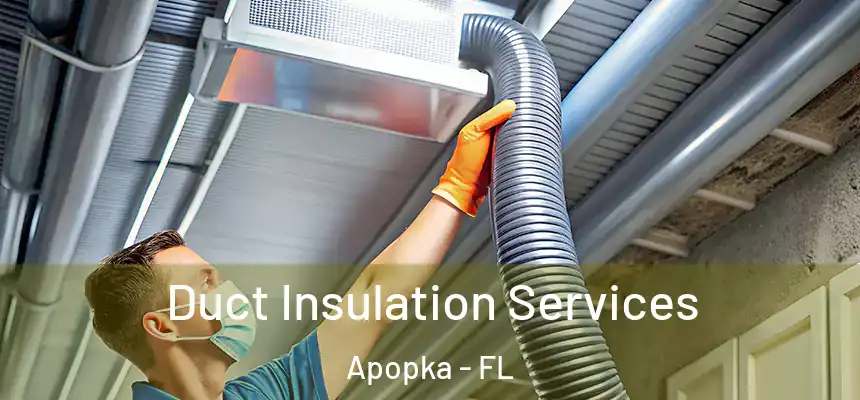 Duct Insulation Services Apopka - FL