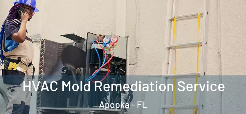  HVAC Mold Remediation Service Apopka - FL