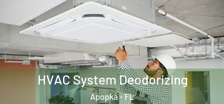  HVAC System Deodorizing Apopka - FL
