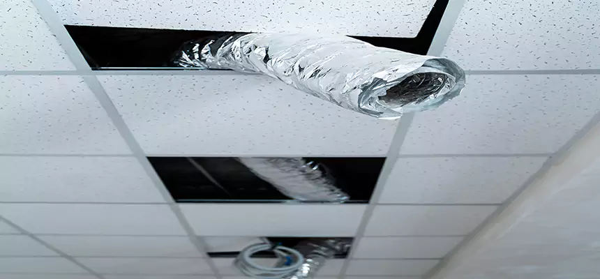 Our Air Duct Pet Hair Removal Services in Apopka, FL