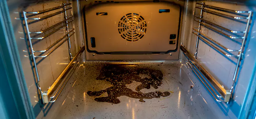 Our Air Purifier Installation Services in Apopka, FL