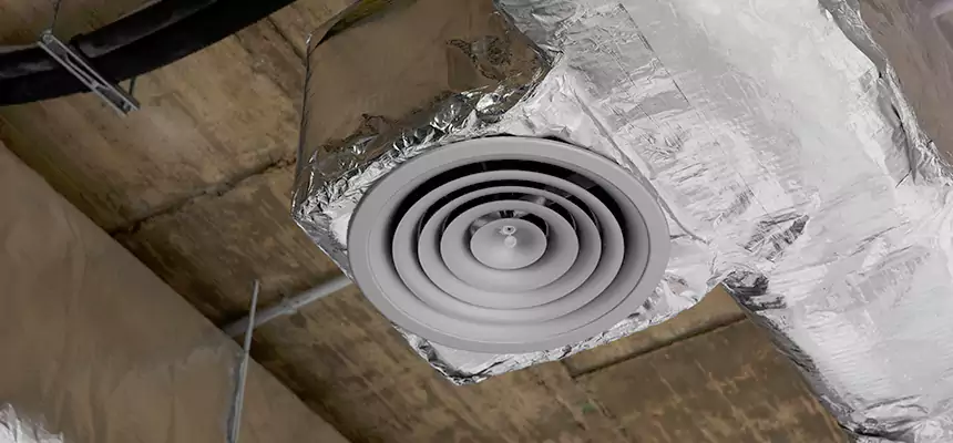 Our Excess Lint Removal from Dryer Ducts Services in Apopka, FL