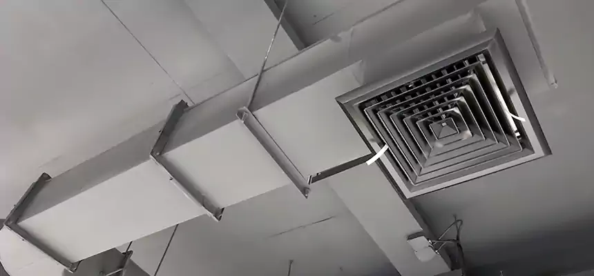 Our Pest Removal From Ducts Services in Apopka, FL