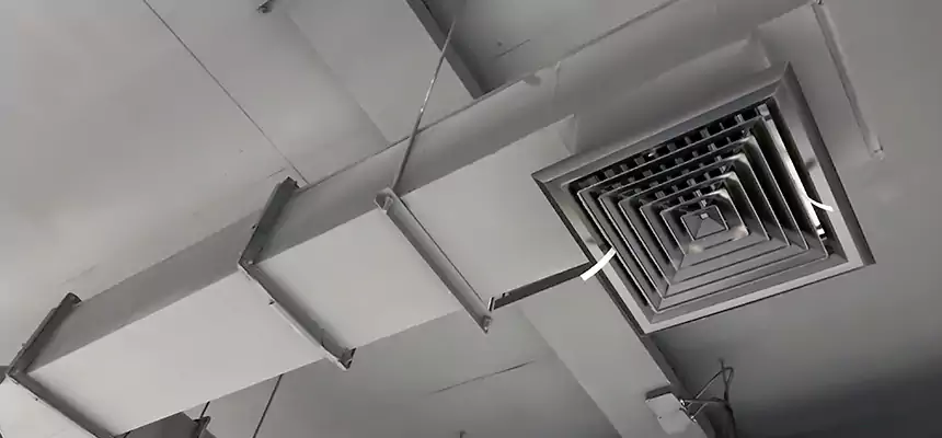 Our Rodent Droppings In Vents Services in Apopka, FL