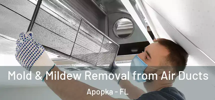  Mold & Mildew Removal from Air Ducts Apopka - FL