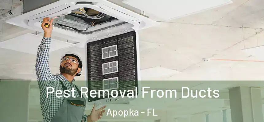 Pest Removal From Ducts Apopka - FL
