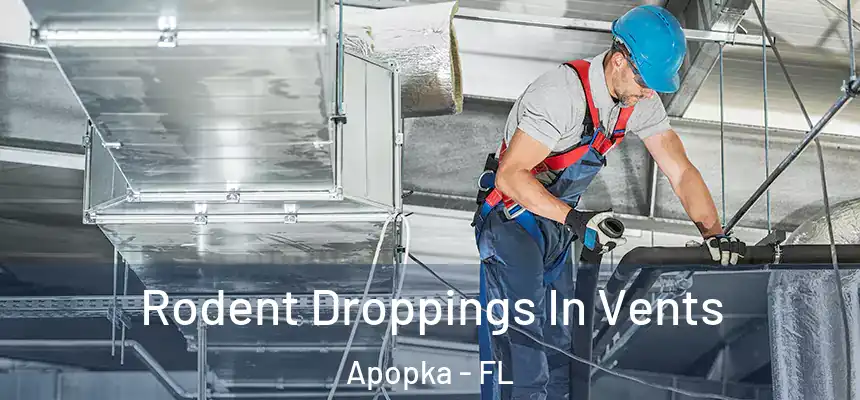  Rodent Droppings In Vents Apopka - FL