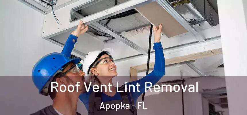  Roof Vent Lint Removal Apopka - FL