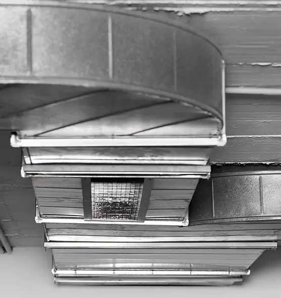 Professional Air Duct Pest Removal in Apopka, FL