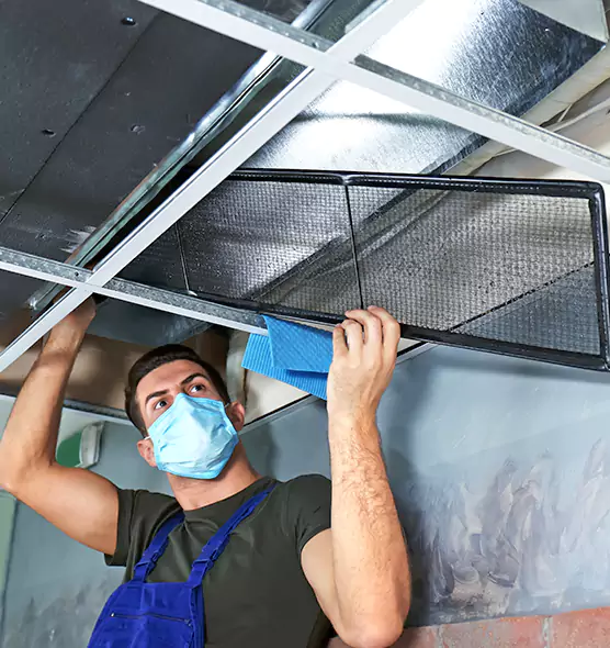 Professional Air Duct Pollen Cleaning in Apopka, FL