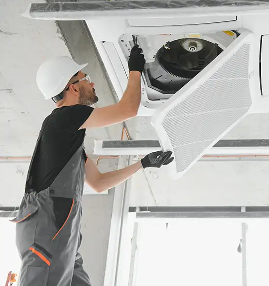 About Air Duct Rodent Removal in Apopka, FL