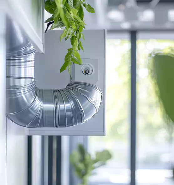 Professional Eco-Friendly Duct Cleaning Services in Apopka, FL