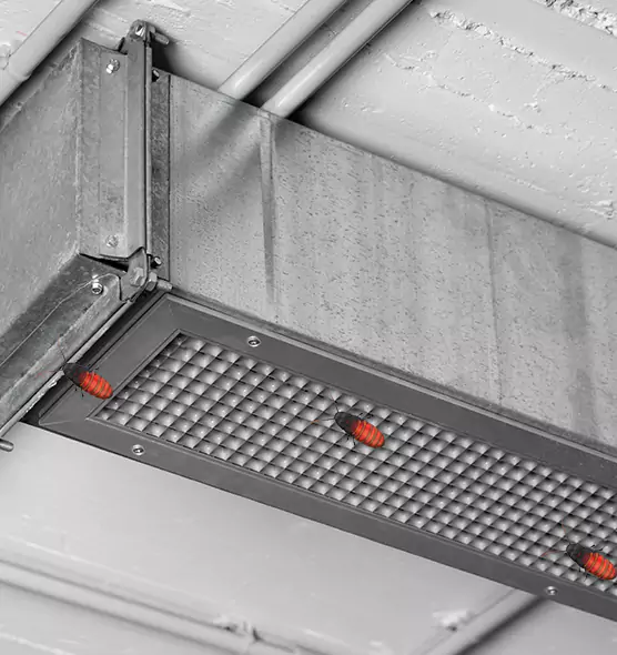 Affordable Insect Removal from Air Ducts in Apopka, FL