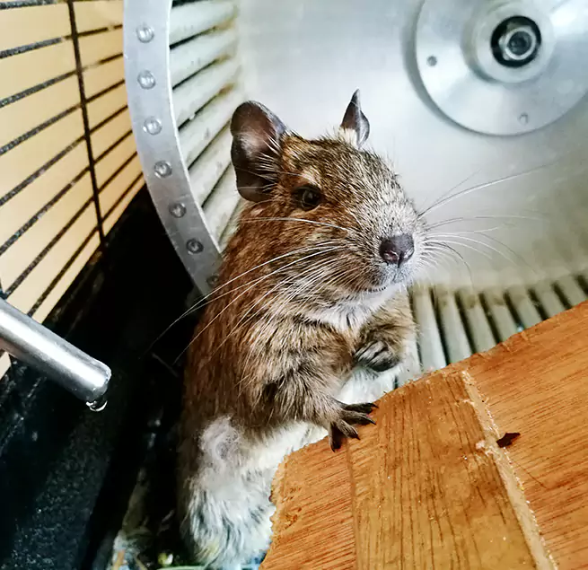 Why Homeowners & Businesses Trust Us Apopka, FL?