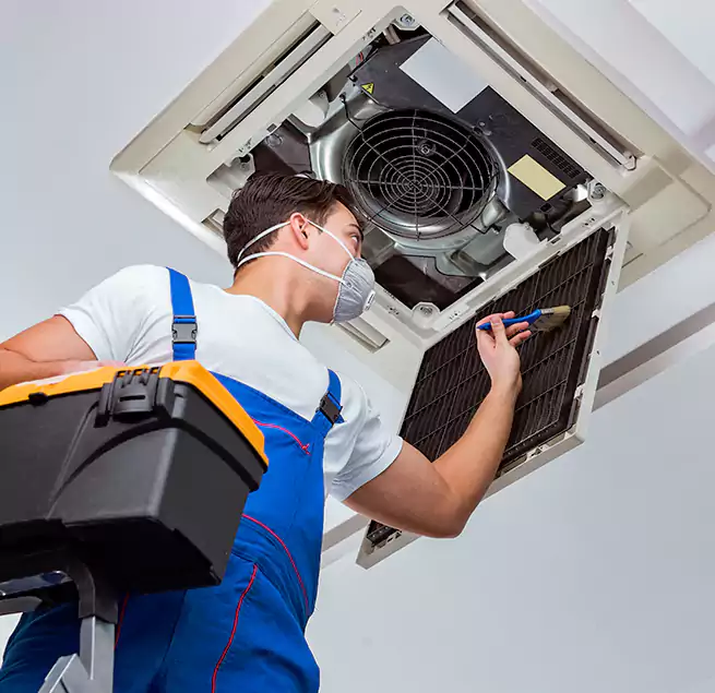 Why Homeowners & Businesses Trust Us in Apopka, FL