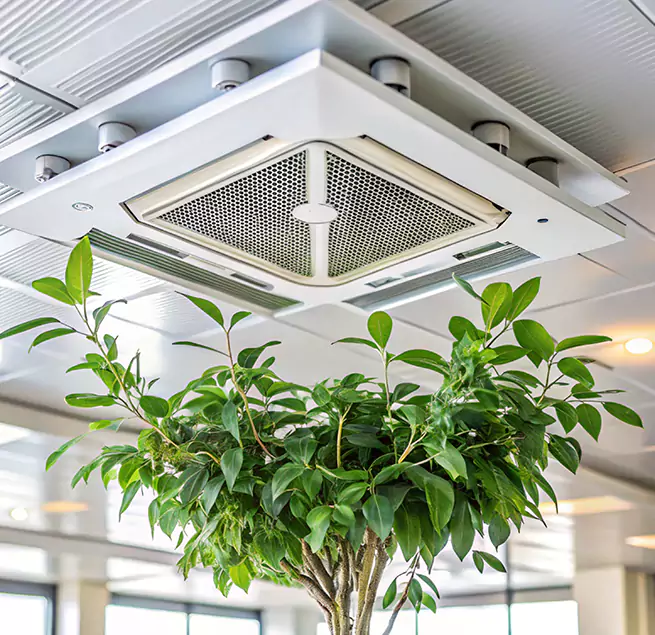 Why Homeowners & Businesses Trust Us in Apopka, FL?