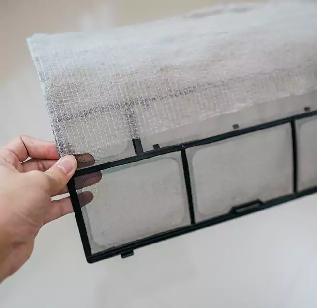 Why Homeowners & Businesses Trust Us in Apopka, FL?