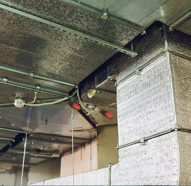 Why Homeowners & Businesses Trust Us Apopka, FL?