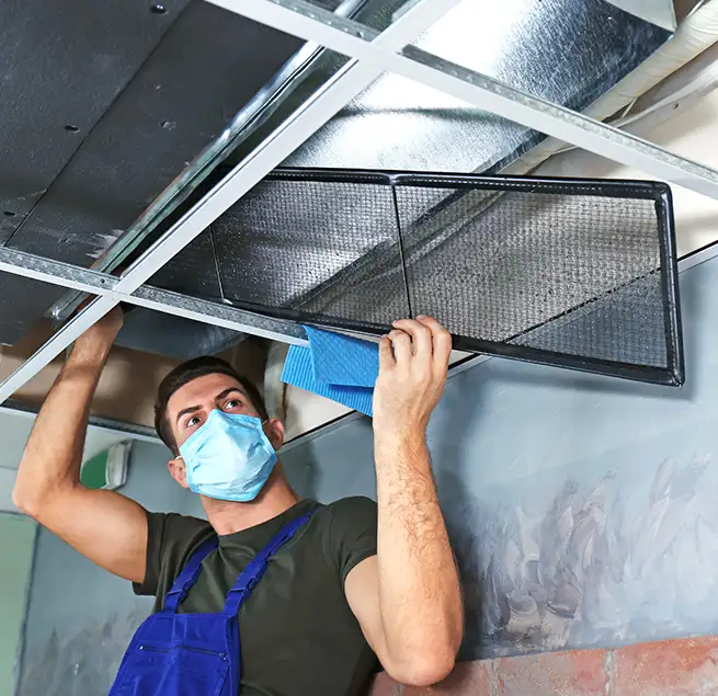 Why Homeowners & Businesses Trust Us in Apopka, FL?