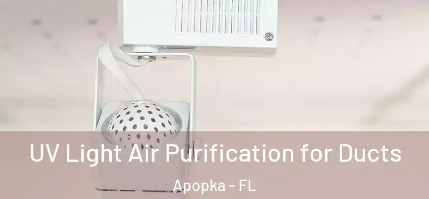  UV Light Air Purification for Ducts Apopka - FL